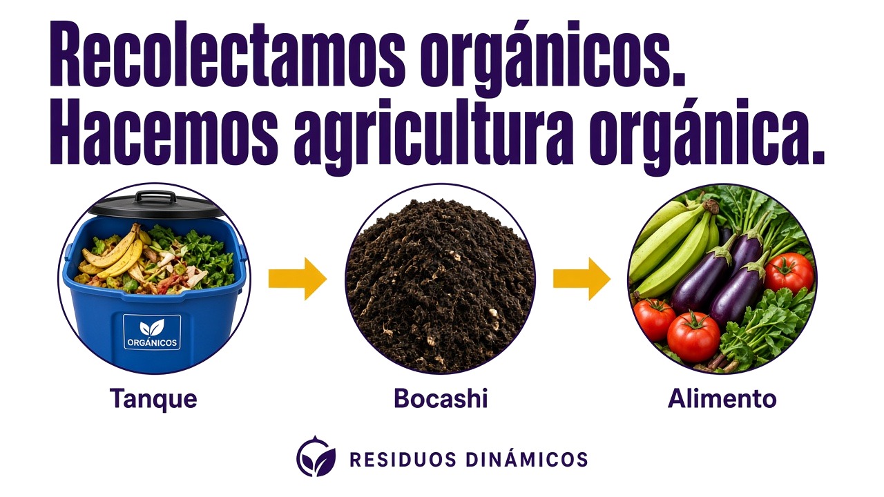Recolectamos orgánicos. Hacemos agricultura orgánica. Ciclo tanque, bocashi y alimento.