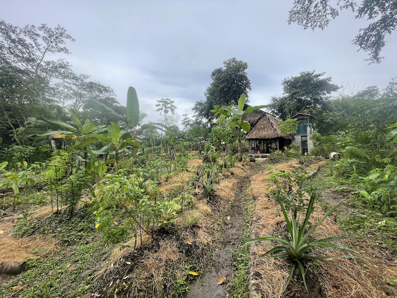 Finca agroecológica en Panamá